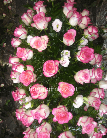 Rose rosa e lisiantus