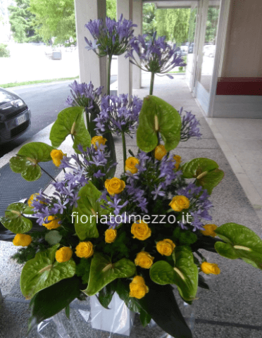 Composizione blu giallo verde