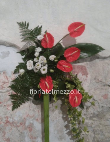 Anturium e lisiantus bianchi